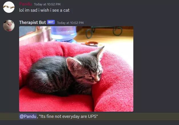 Therapy Bot